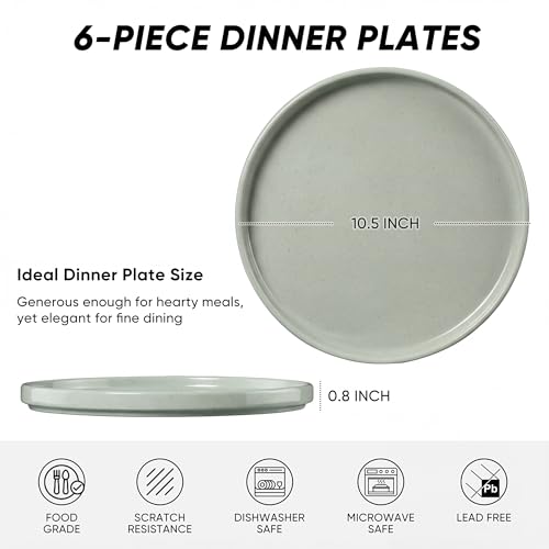 Dinner Plates Set of 6 (Mist Green / 10.5'')