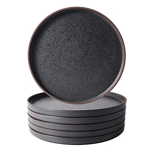 Ceramic Dinner Plates Set of 6 (10.25Inch-6pcs / 10.25Inch-6pcs)