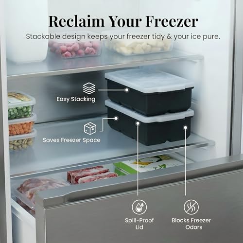 Large Silicone Ice Cube Tray (Black / 2-Pack)