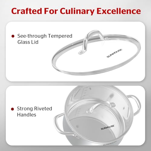 Stainless Steel Stock Pot