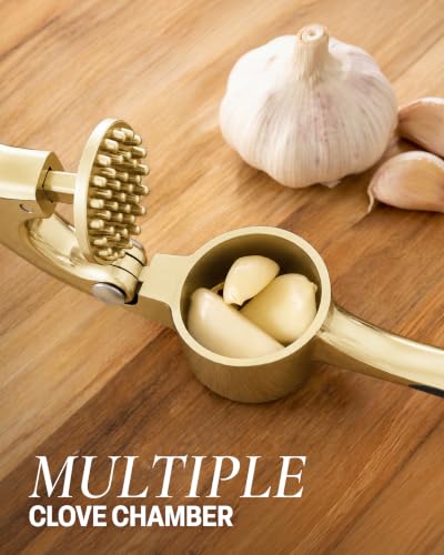 Premium Garlic Press with Soft (Large | Gold)