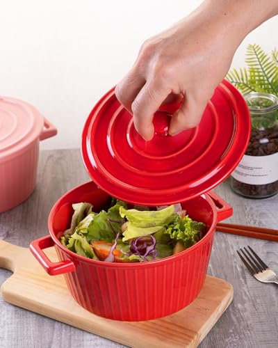 Red Colorful Ceramic Casserole Dish with Lid (red)