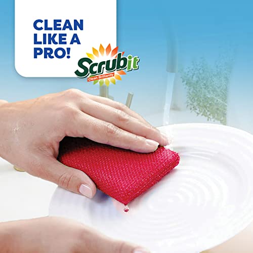 Multi Purpose Scouring Pad (Blue)
