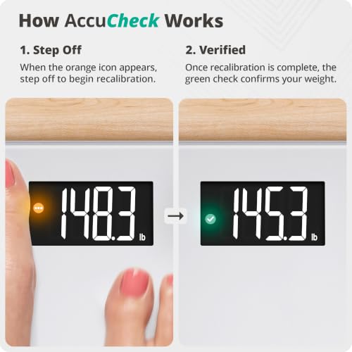 AccuCheck Digital Bathroom Scale for Body Weight (Pearl Gray)