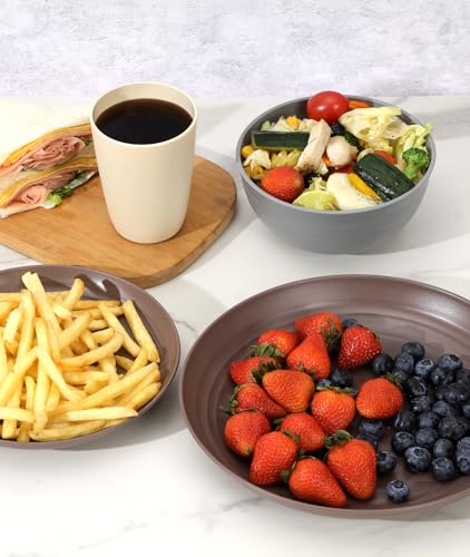 16 Piece Plates and Bowl Set for 4 (Brown / Service For 4)