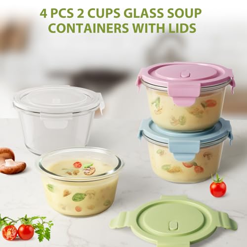 2Cup 16oz Glass Food Storage Containers with Lids (Multicolor+Clear / 16oz)