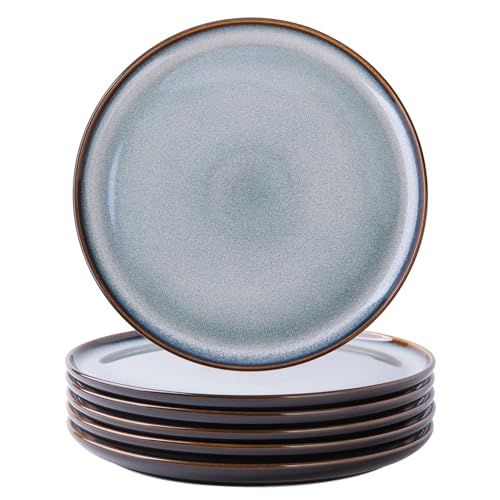 Ceramic Dinner Plates Set of 6 (10.5 Inch for 6 / Reactive-Gray White)