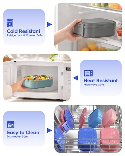 Bento Box Adult Lunch Box (Blue)