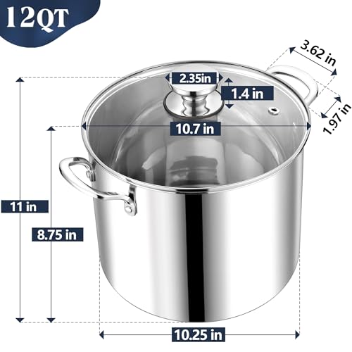 12 Quart Stock Pot with Lid (12 Quarts)