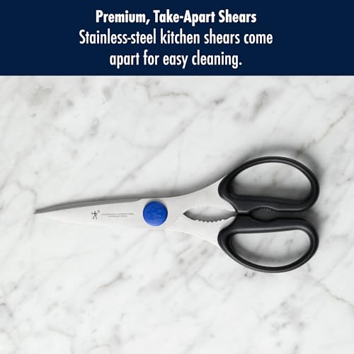 Kitchen Scissors (Take Apart)