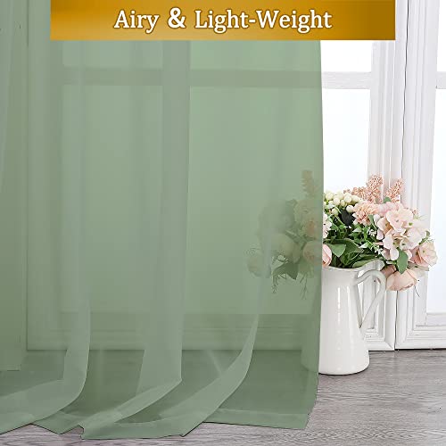 Sage Green Curtains Sheer (40"W x 54"L (Pack of 2) / Sage Green)