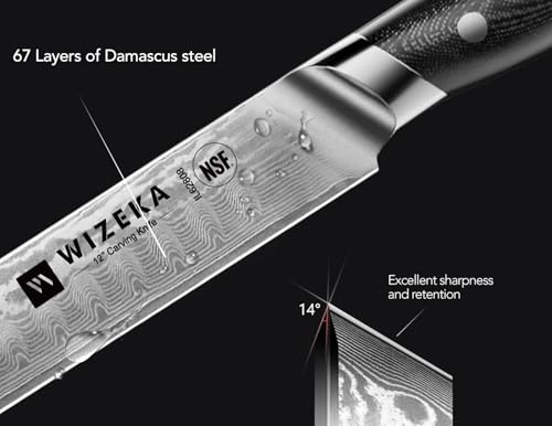 12 Inch Damascus Slicing Knife (Obsidian Black)