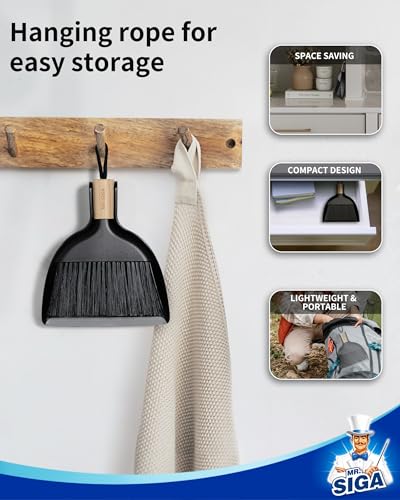 Mini Dustpan and Brush Set (Black)