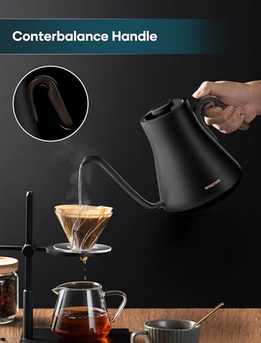 Gooseneck Electric Kettle with ±1℉ Temperature Control (Matte Black)