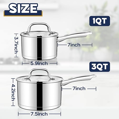 Stainless Steel Saucepan Set of 2 (1+3 Quart)