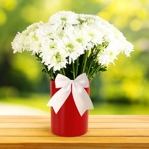 Calypso Basics by Reston Lloyd Plastic Utensil Holder (Utensil Holder / Red)
