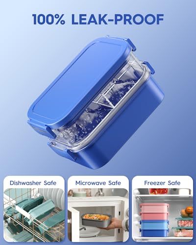 Adults Bento Lunch Box Set with Thermo Bag (Sapphire Blue)