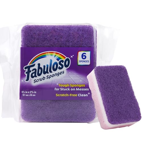 Scratch Free Kitchen Dish Sponges (Purple / 6 Count (Pack of 1))