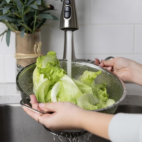 Stainless Steel Colander (5 Quart, Standard)