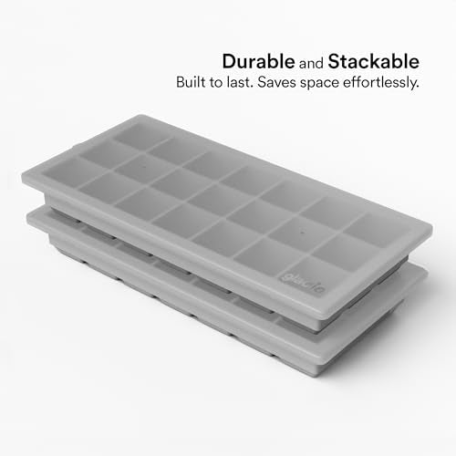 Ice Cube Tray with Lids (Gray)
