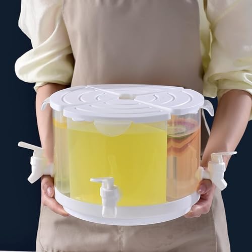 Beverage Dispenser for Fridge (White)