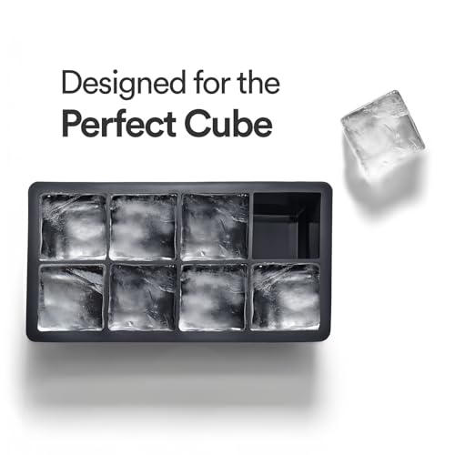 Ice Cube Molds (Charcoal & 8 cube)