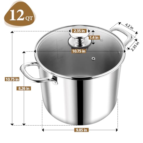 12 Quart Tri Ply Stainless Steel Stock Pot (12 Quarts)