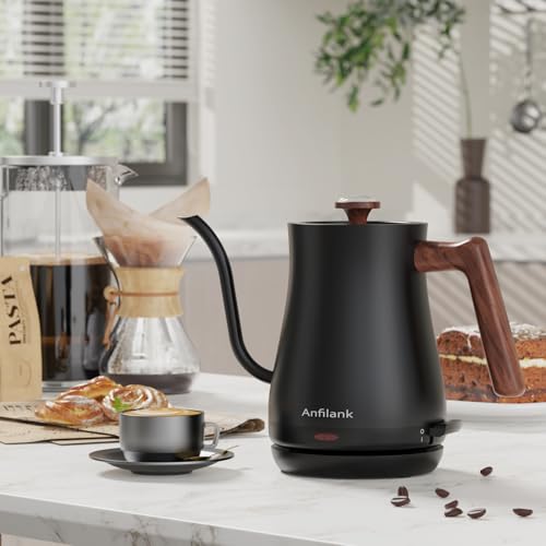 Gooseneck Electric Kettle with Thermometer