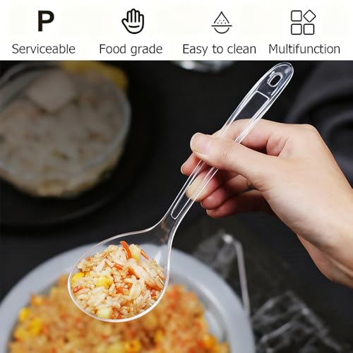 Large Plastic Serving Spoons (Clear Colander)