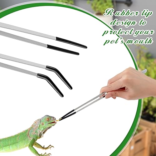 2 Pcs Reptile Feeding Tongs (Silver / 10 Inch, 10.5 Inch)
