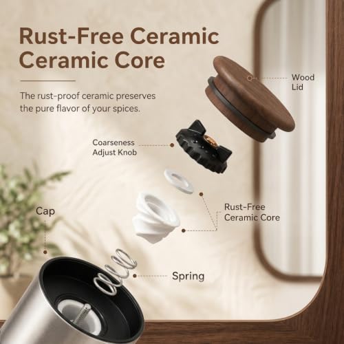 Refillable Salt Grinder (Salt Grinder)