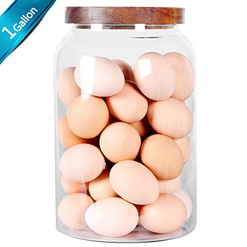 Egg Jar kitchen canister (1Gallon)
