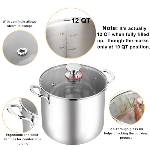 12 Quart Stock Pot (12 Quarts)