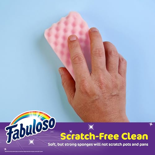 Scratch Free Kitchen Dish Sponges (Purple / 4 Count (Pack of 1))