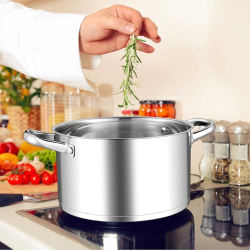 5Qt Stockpot with Lid (5 Quarts)