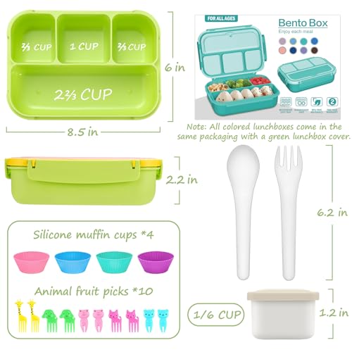 Bento Box for Kids Adults (Pink Yellow Green)