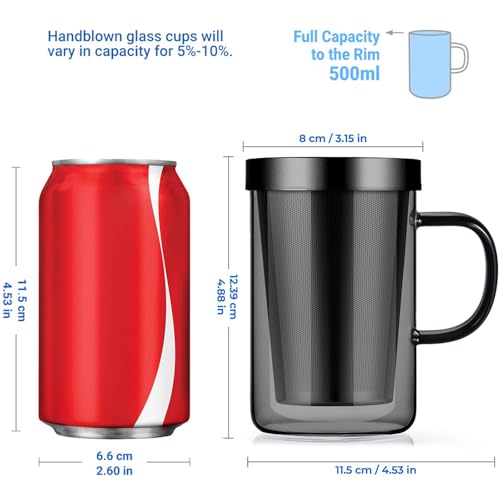 16.9oz Glass Tea Cup with Infuser and Lid 430ml (Black / 16.9 Ounces)