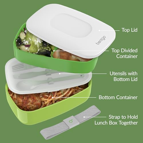 Classic Adult Bento Box (Green)