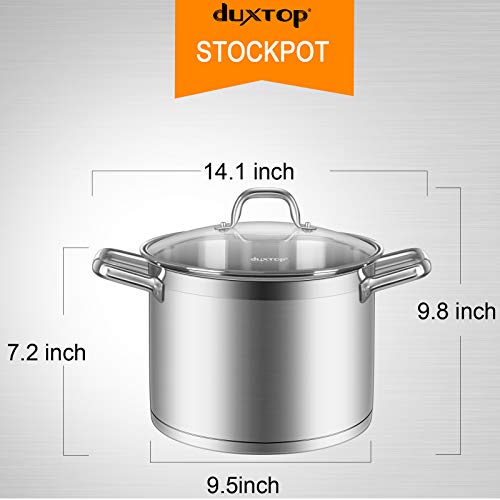 Stainless Steel Stock Pot with Lid (9.1 Quarts)