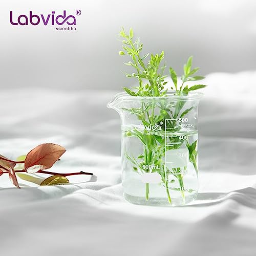 12pcs Glass Beakers Shot (12pcs of Vol.25ml)