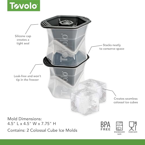 Large Square Ice Cube Mold Colossal 2 Inch Cubes Pack of 2