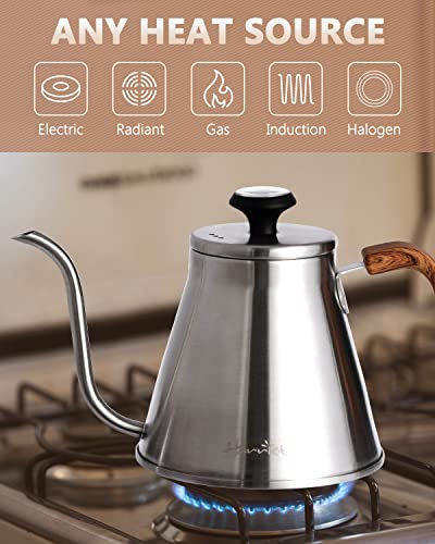 Gooseneck Kettle with Thermometer for Pour Over Coffee and Tea (Silver)