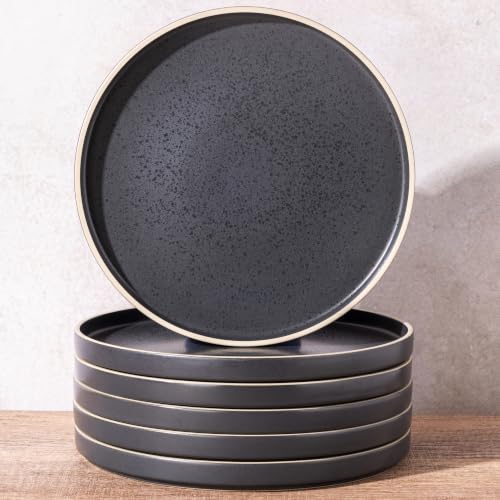 Ceramic Dinner Plates Set of 6 (Dusted White-Off White Rim / 10.25Inch-6pcs)