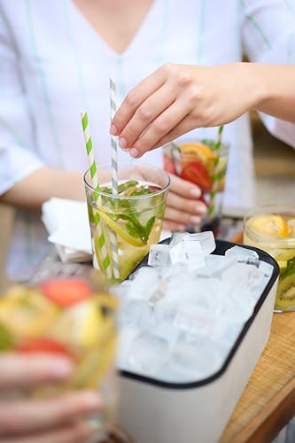Lékué Ice Box (Standard / White)