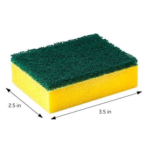40 Kitchen Scrub Sponges (Multicolor)