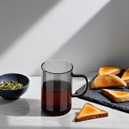 16.9oz Glass Tea Cup with Infuser and Lid 430ml (Black / 16.9 Ounces)