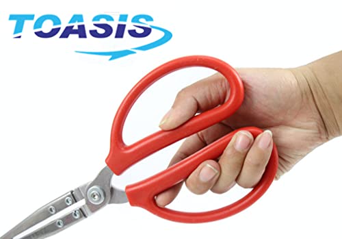 Stainless Steel Crabbing Tongs for Live Crabs Eels (Curved Tip-2pcs)