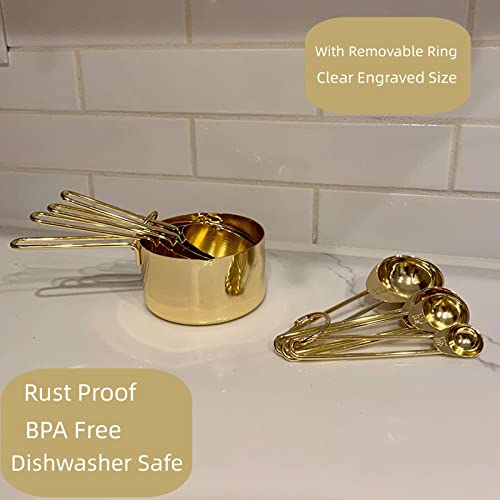 Gold Measuring Cups and Spoons Set (Gold)