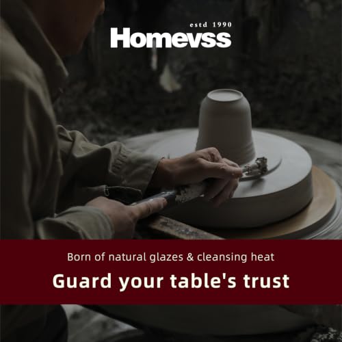HomeVSS 20 Piece Dinnerware Set (Service for 4 - 20pc Set / Matte Beige)