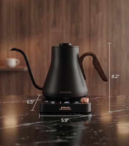 Gooseneck Electric Kettle With Temp Control (Matte Black)